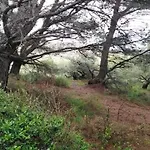Sant Jordi Santiago 아파트 또사데마르